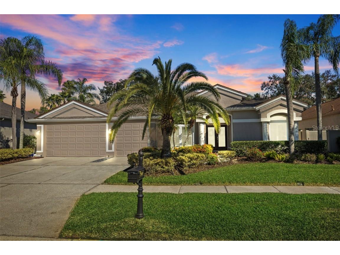 11927 Middlebury Drive Tampa FL 33626 TB8325684 image1