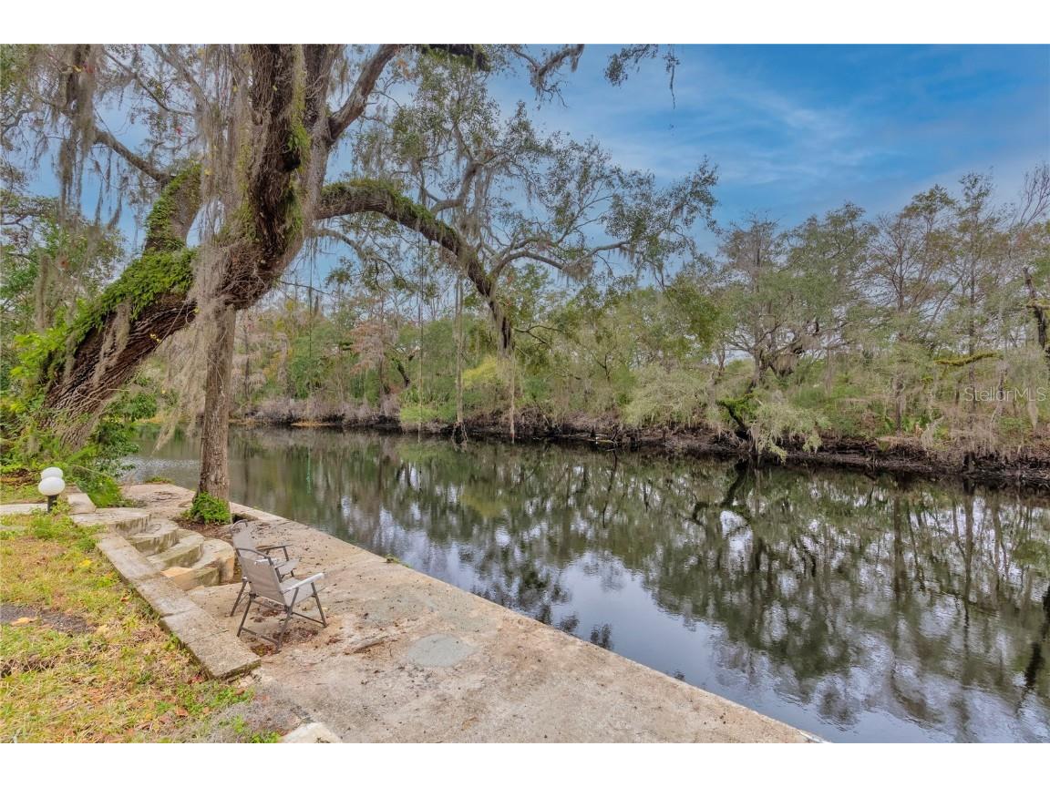 11927 Riverhills Dr Temple Terrace FL 33617 TB8380769 image4