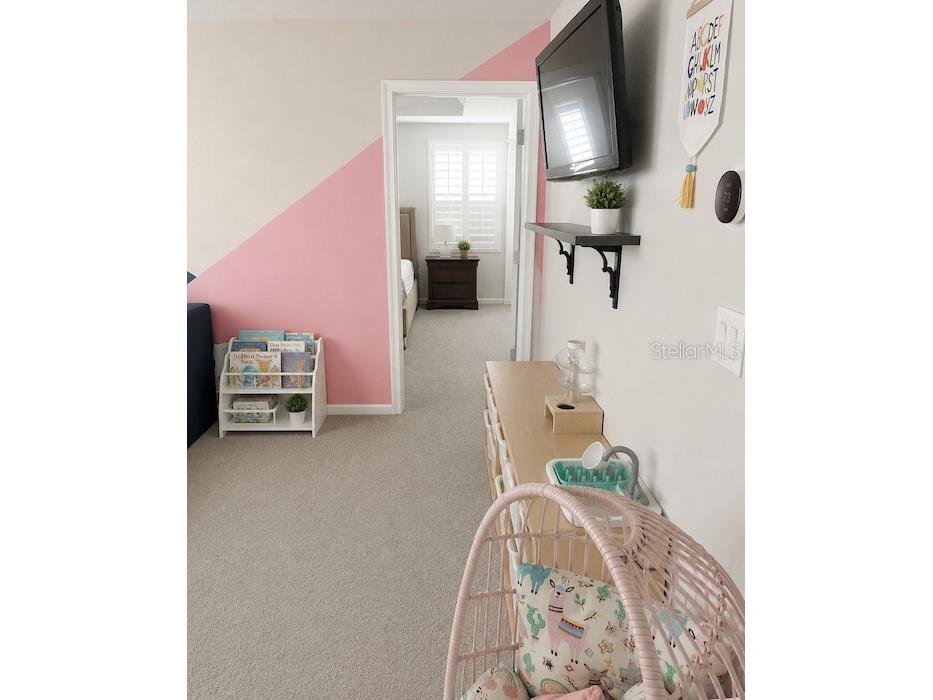 11927 Streambed Drive Riverview FL 33579 TB8512476 image12