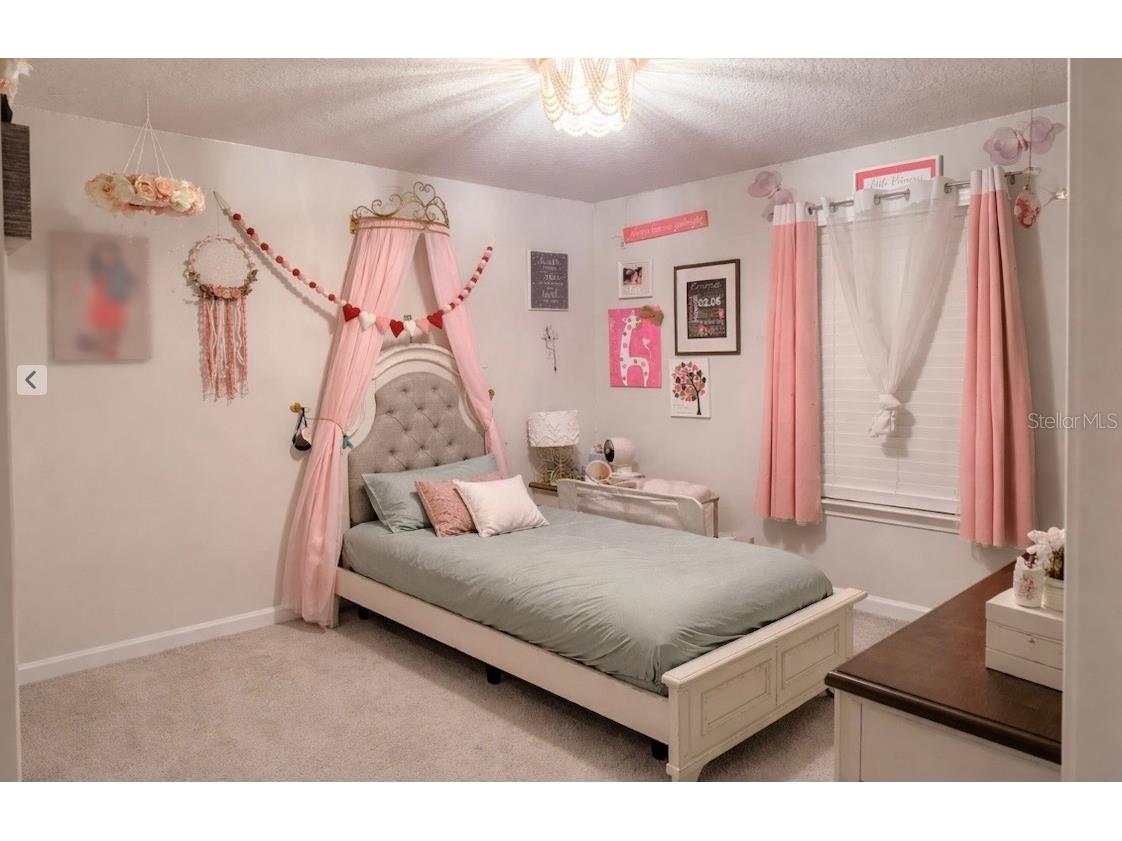 11927 Streambed Drive Riverview FL 33579 TB8512476 image24