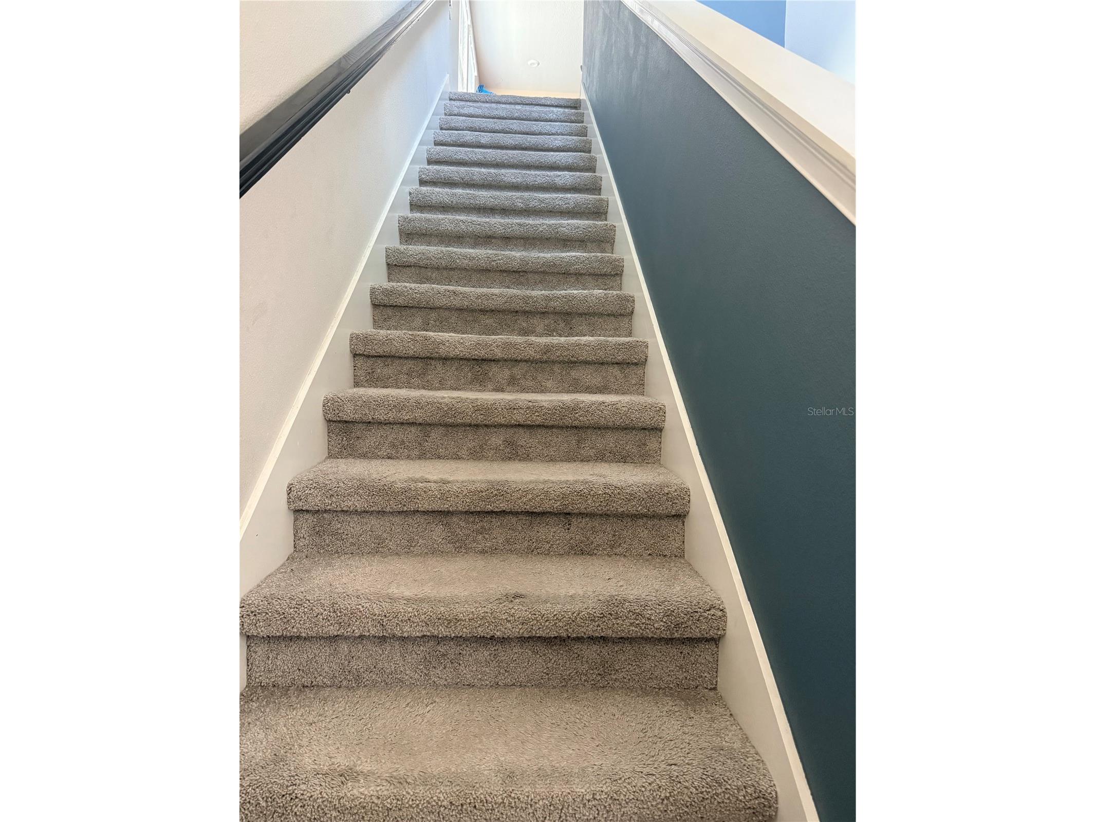 11927 Streambed Drive Riverview FL 33579 TB8512476 image3