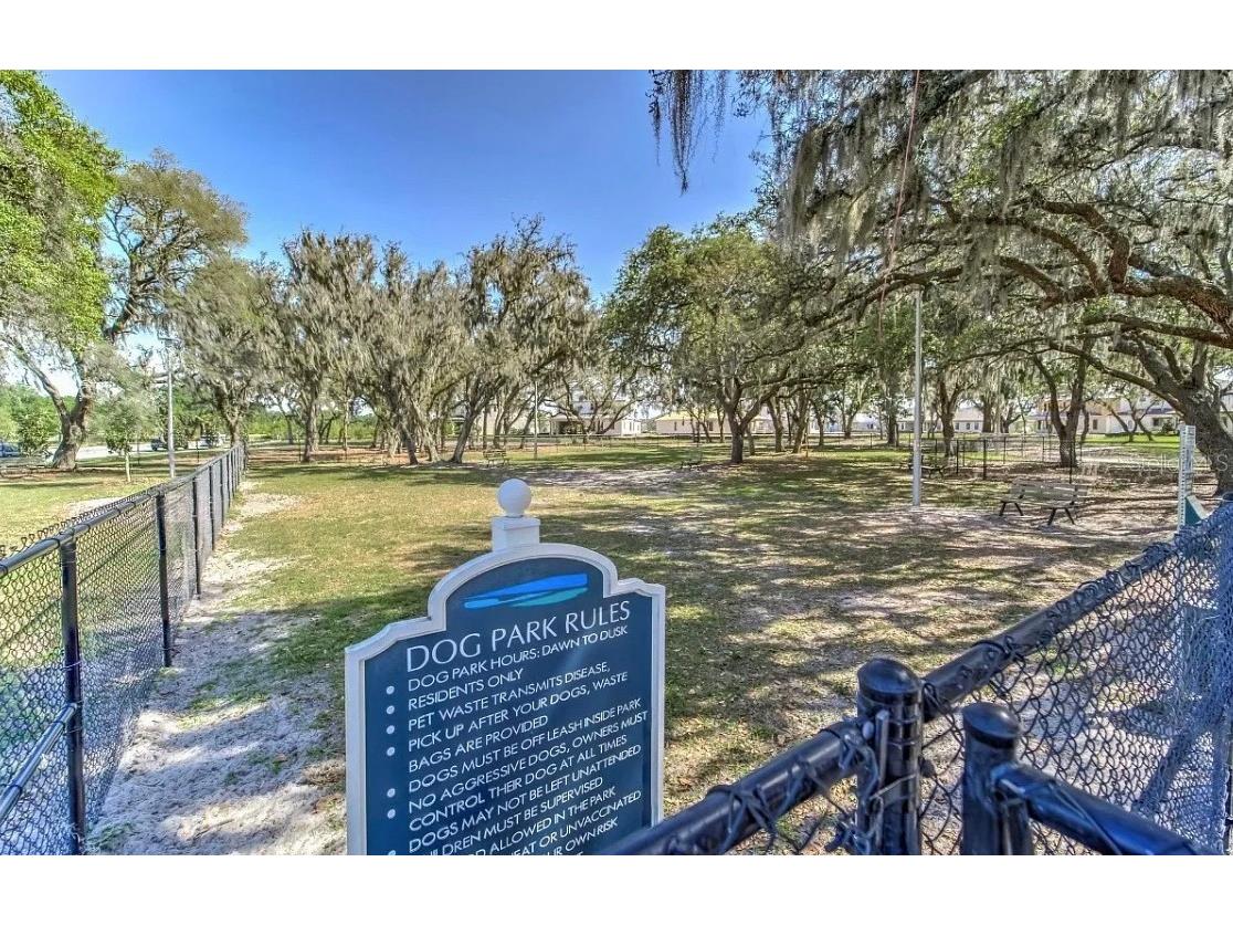 11927 Streambed Drive Riverview FL 33579 TB8512476 image36