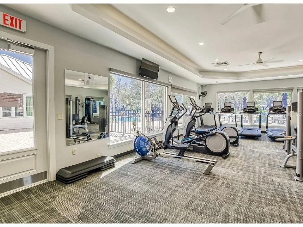 11927 Streambed Drive Riverview FL 33579 TB8512476 image37
