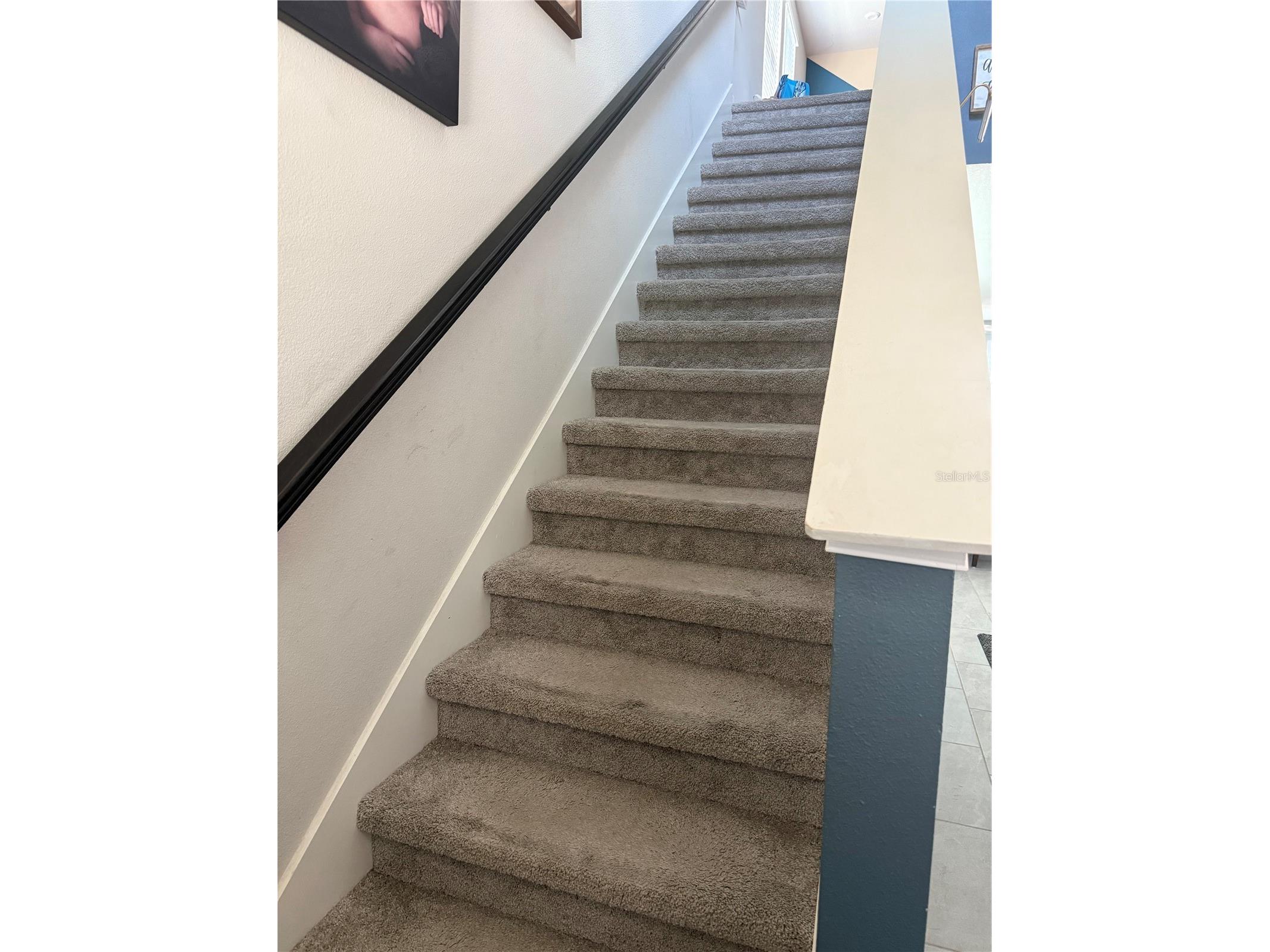 11927 Streambed Drive Riverview FL 33579 TB8512476 image4