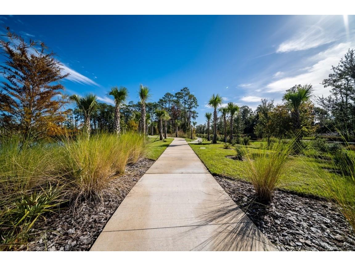 11929 Pioneers Way #B2 Orlando FL 32832 O6262689 image23