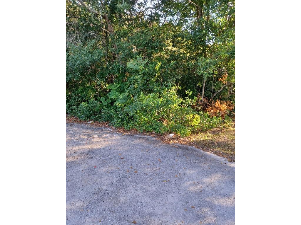 1193 Acorn Court Deltona FL 32725 V4946587 image1