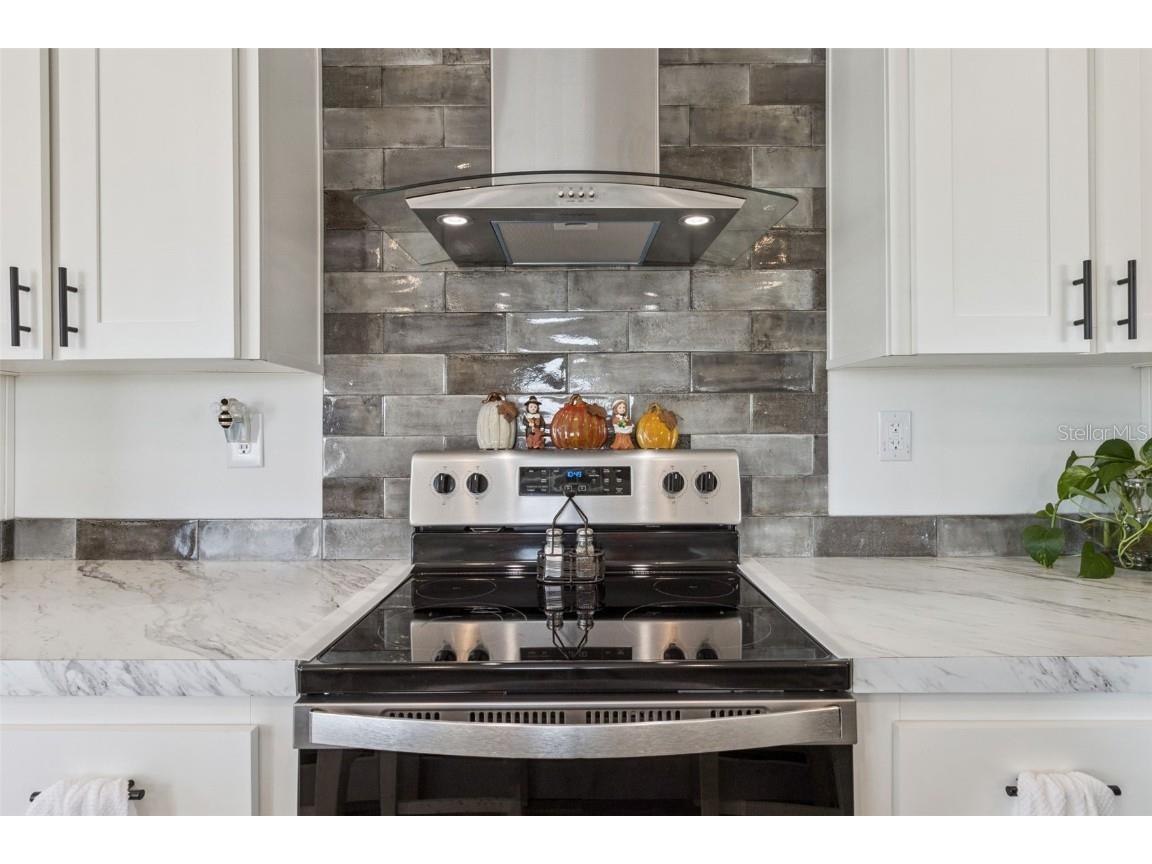 1193 NW 12th Lane Lake Panasoffkee FL 33538 G5104469 image13