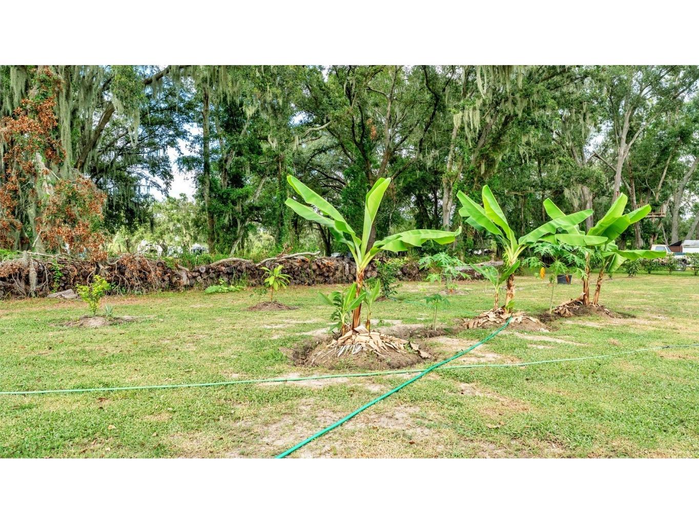 1193 Parker Road Lakeland FL 33811 L4957572 image77