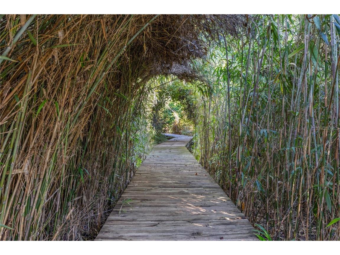 11930 SE 225th Drive Hawthorne FL 32640 - LAKE JEFFORDS GC534815 image38