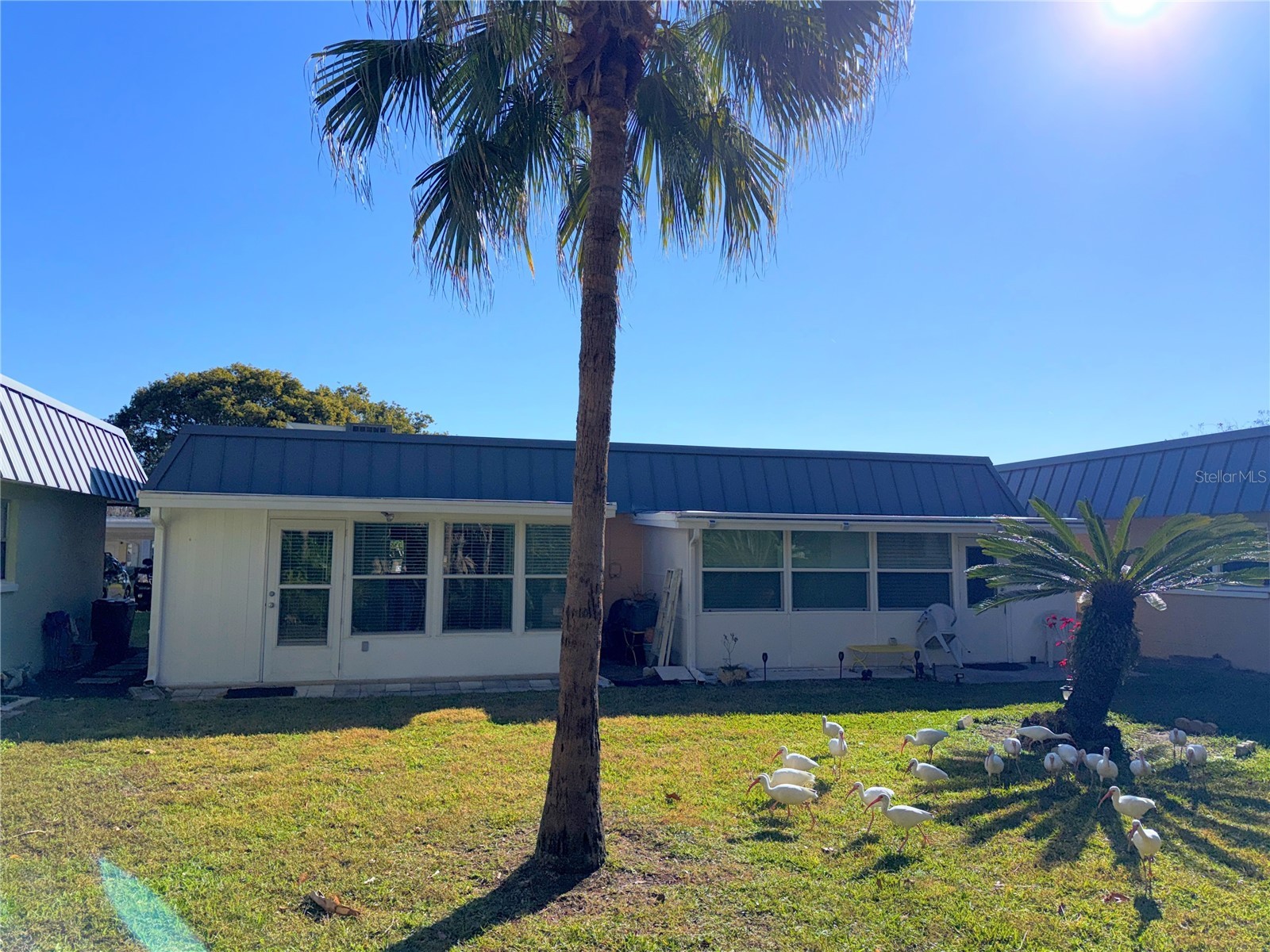 11931 Bayonet Lane New Port Richey FL 34654 W7882557 image12