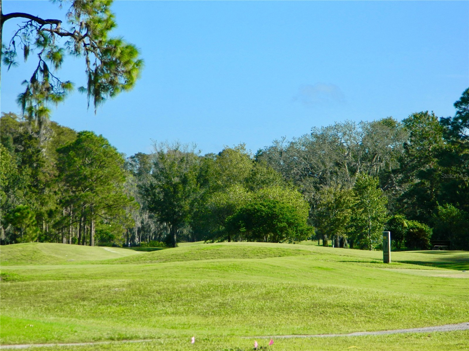 11931 Bayonet Lane New Port Richey FL 34654 W7882557 image21