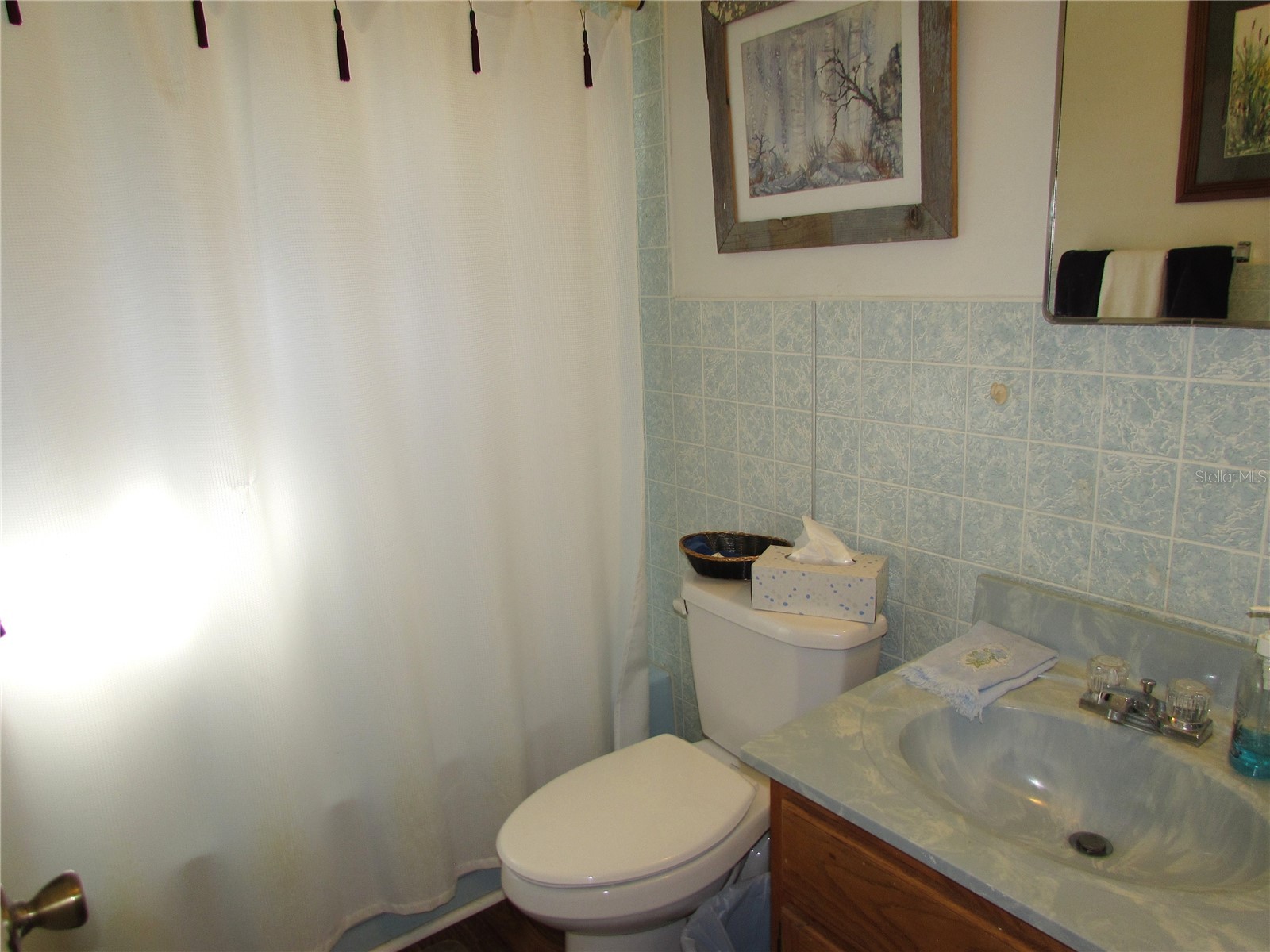 11931 N Bearl Terrace Dunnellon FL 34433 OM720614 image17