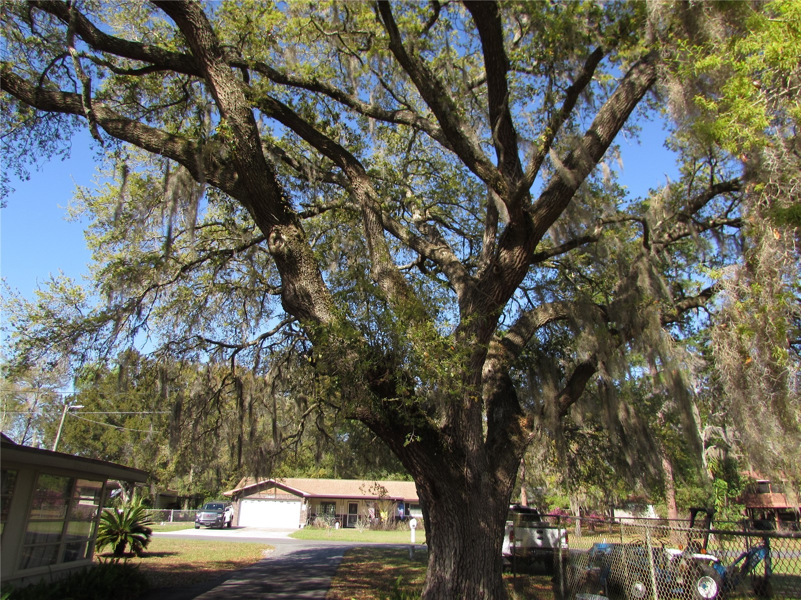 11931 N Bearl Terrace Dunnellon FL 34433 OM720614 image27