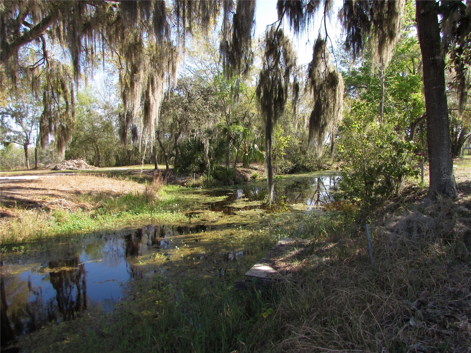 11931 N Bearl Terrace Dunnellon FL 34433 OM720614 image3