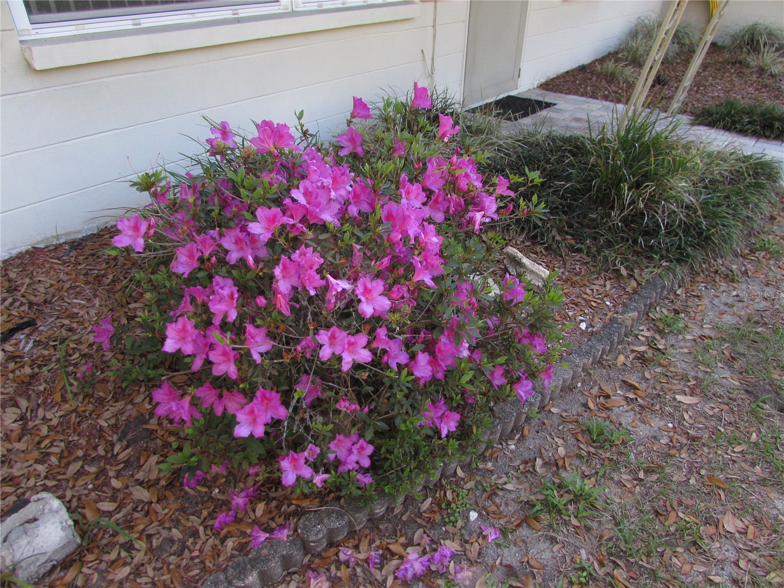 11931 N Bearl Terrace Dunnellon FL 34433 OM720614 image32