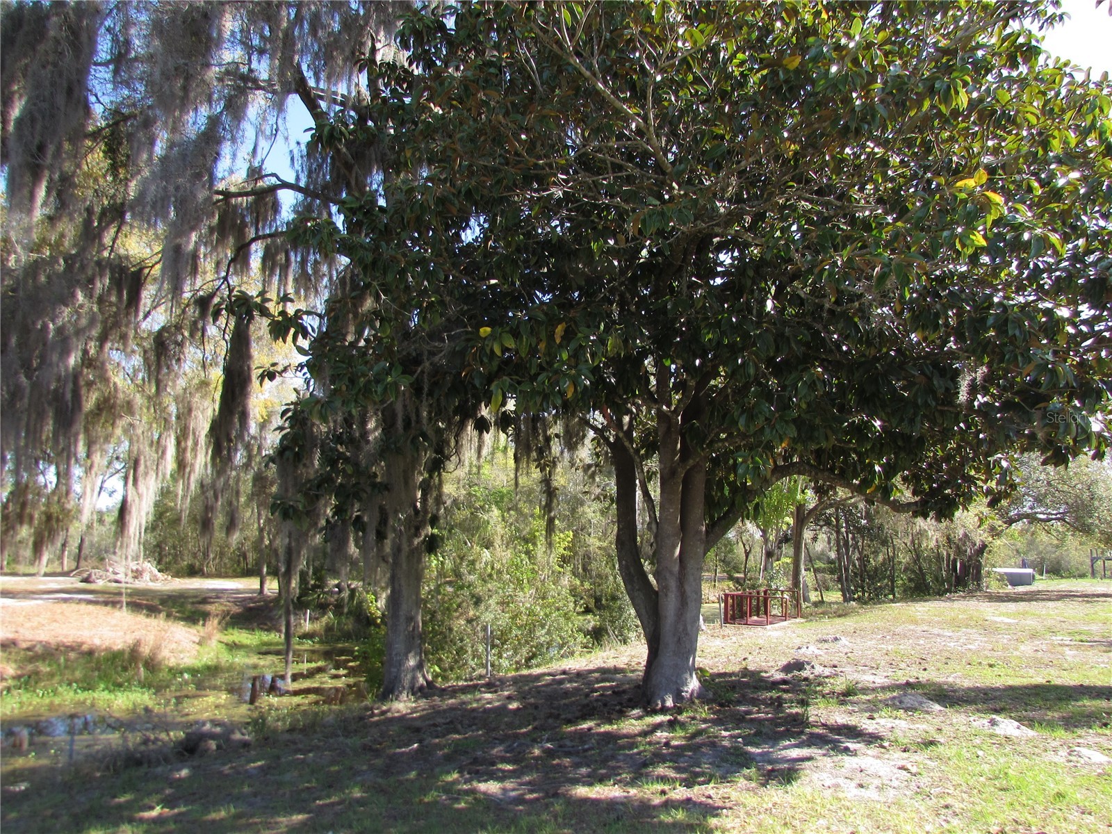 11931 N Bearl Terrace Dunnellon FL 34433 OM720614 image36
