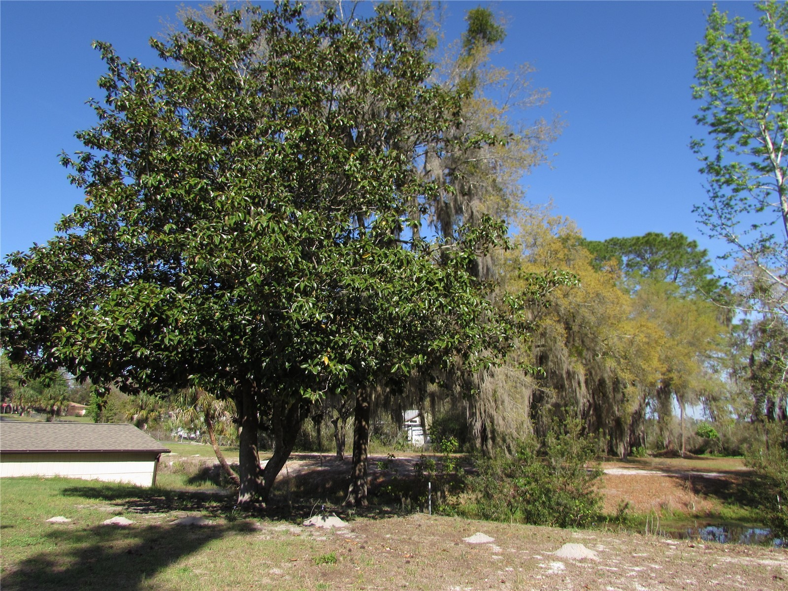 11931 N Bearl Terrace Dunnellon FL 34433 OM720614 image37