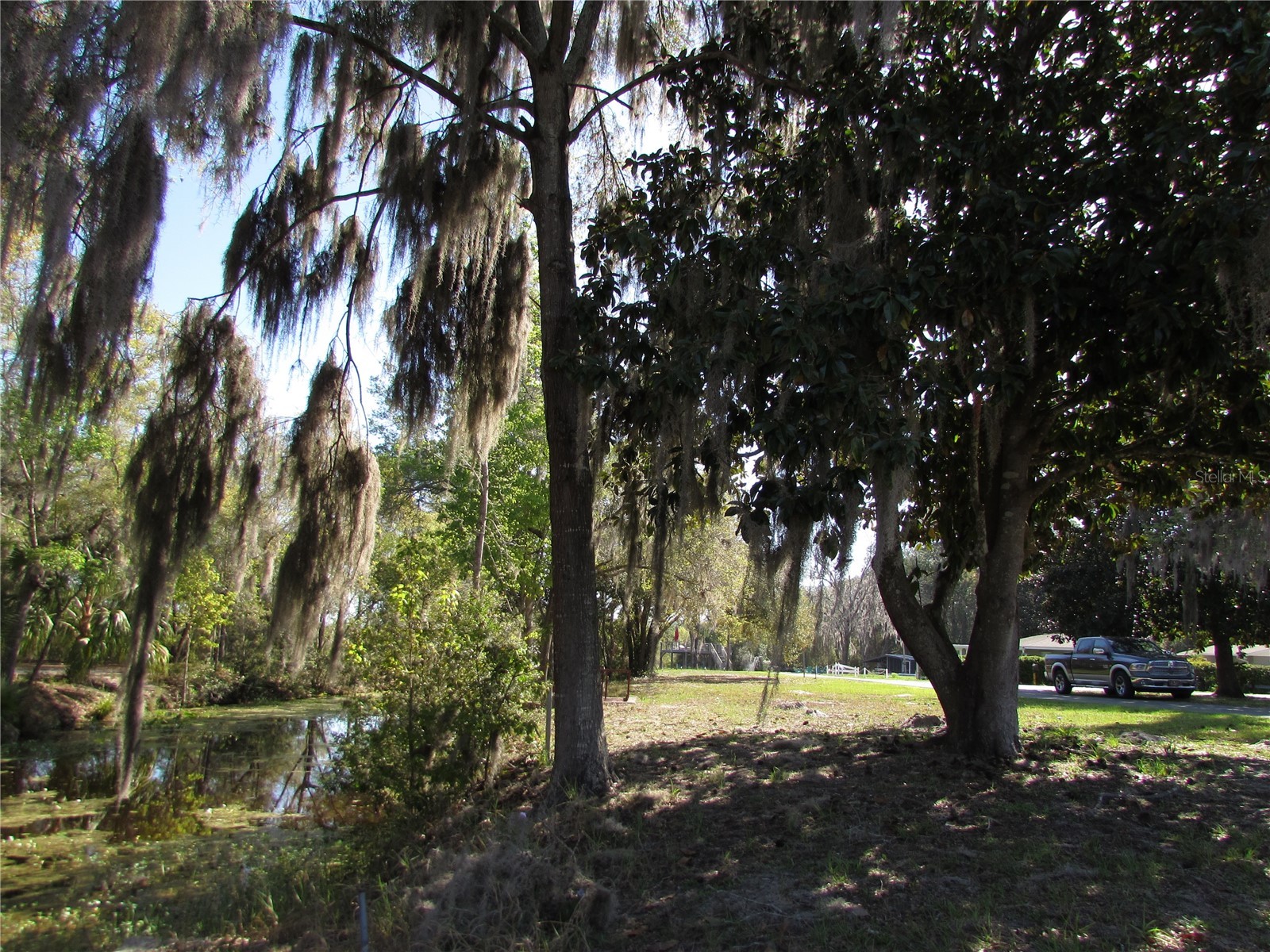 11931 N Bearl Terrace Dunnellon FL 34433 OM720614 image38