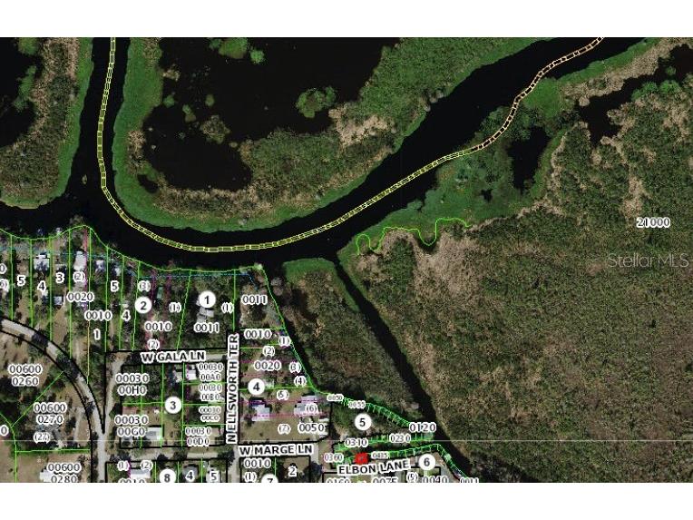 11931 N Bearl Terrace Dunnellon FL 34433 OM720614 image39