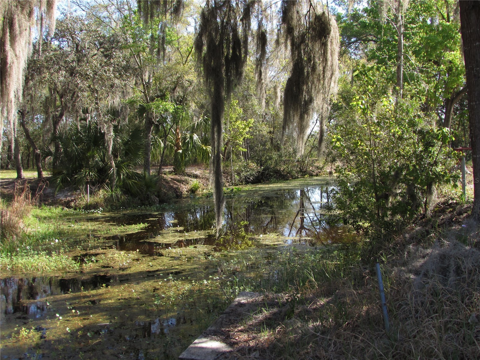 11931 N Bearl Terrace Dunnellon FL 34433 OM720614 image4