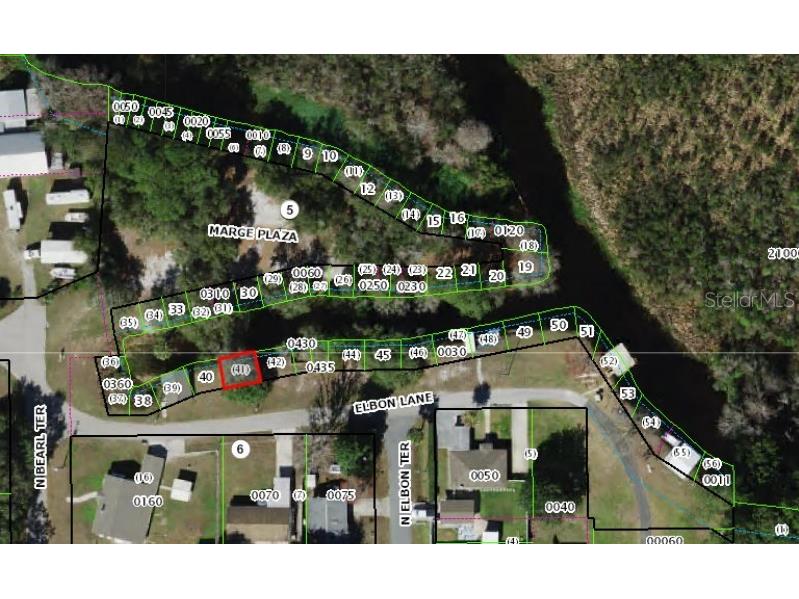 11931 N Bearl Terrace Dunnellon FL 34433 OM720614 image40