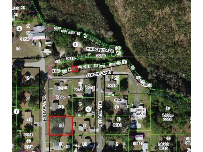 11931 N Bearl Terrace Dunnellon FL 34433 OM720614 image41