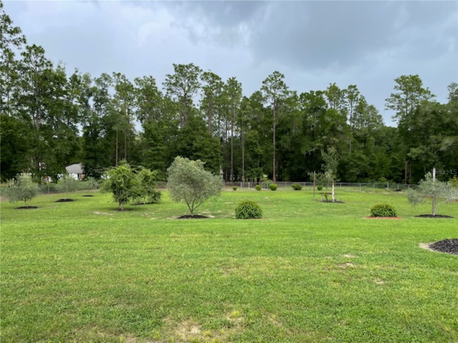 11931 SW 41st Place Ocala FL 34481 OM725775 image21