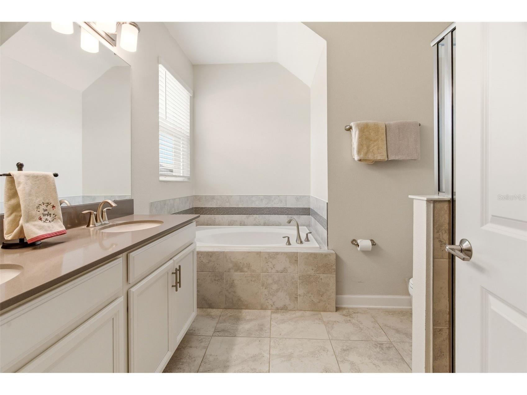 11932 Hometown Place Orlando FL 32832 O6409536 image20