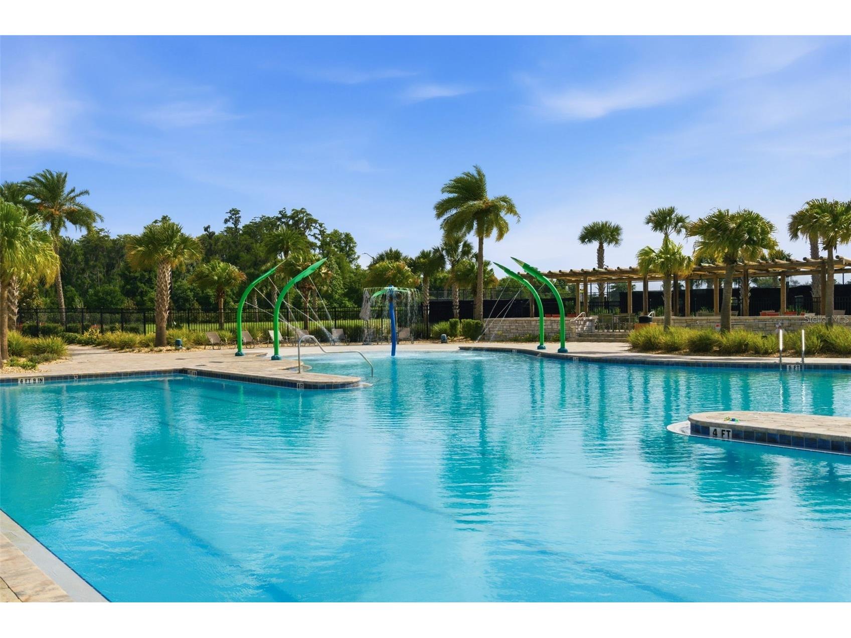 11932 Hometown Place Orlando FL 32832 O6409536 image50