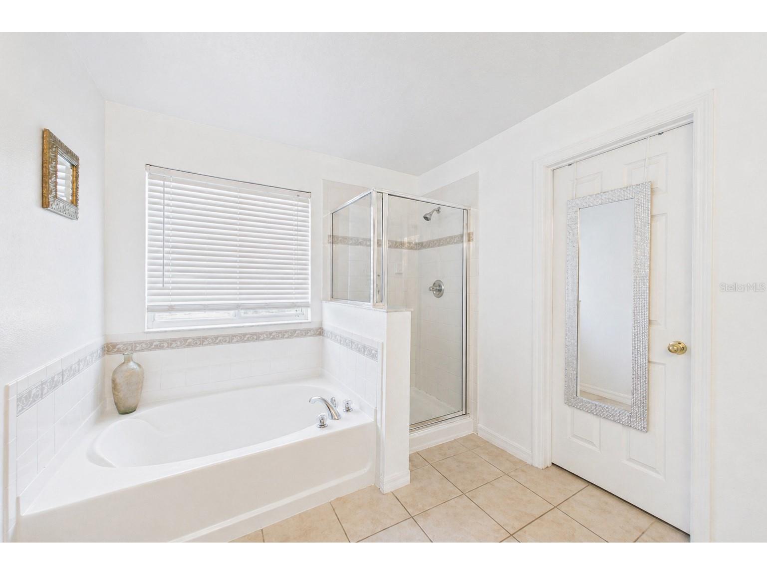 11932 Old Glory Drive Orlando FL 32837 O6405736 image16