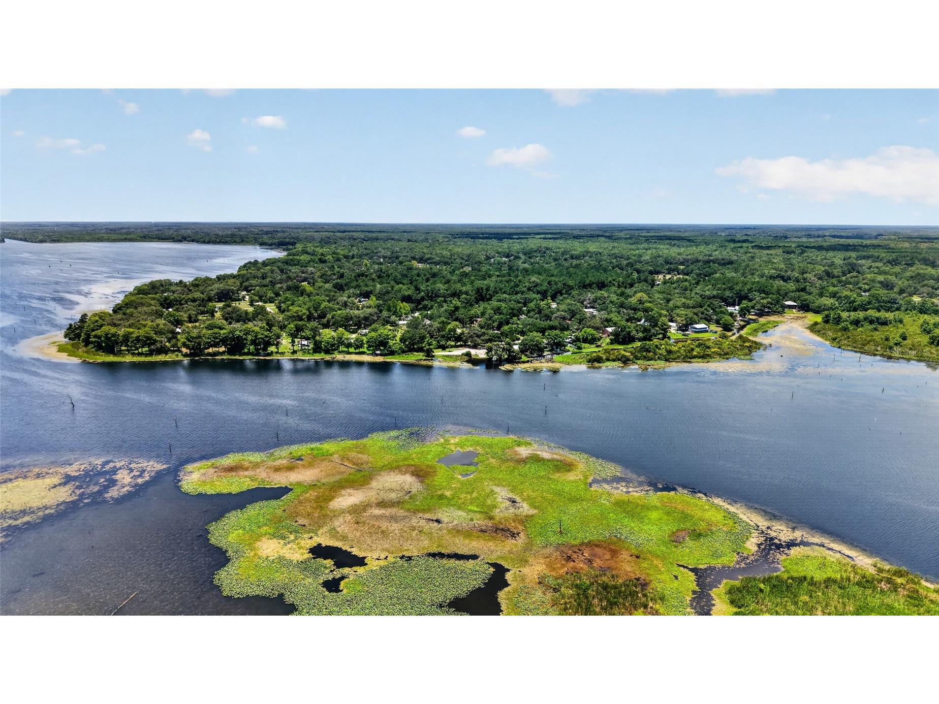 11932 SE 196th Street Dunnellon FL 34431 - WITHLACOOCHEE RIVER OM727625 image3
