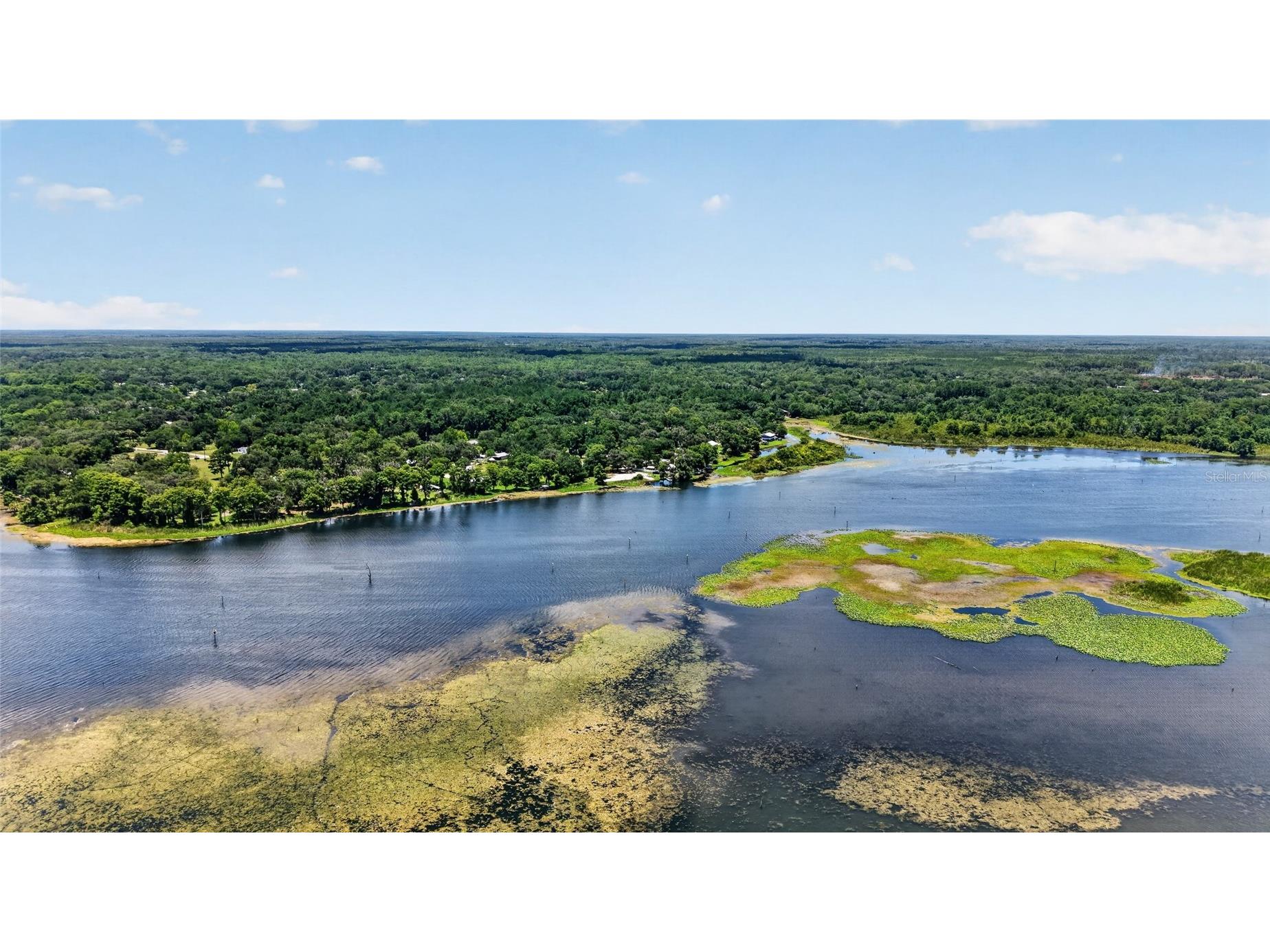 11932 SE 196th Street Dunnellon FL 34431 - WITHLACOOCHEE RIVER OM727625 image73