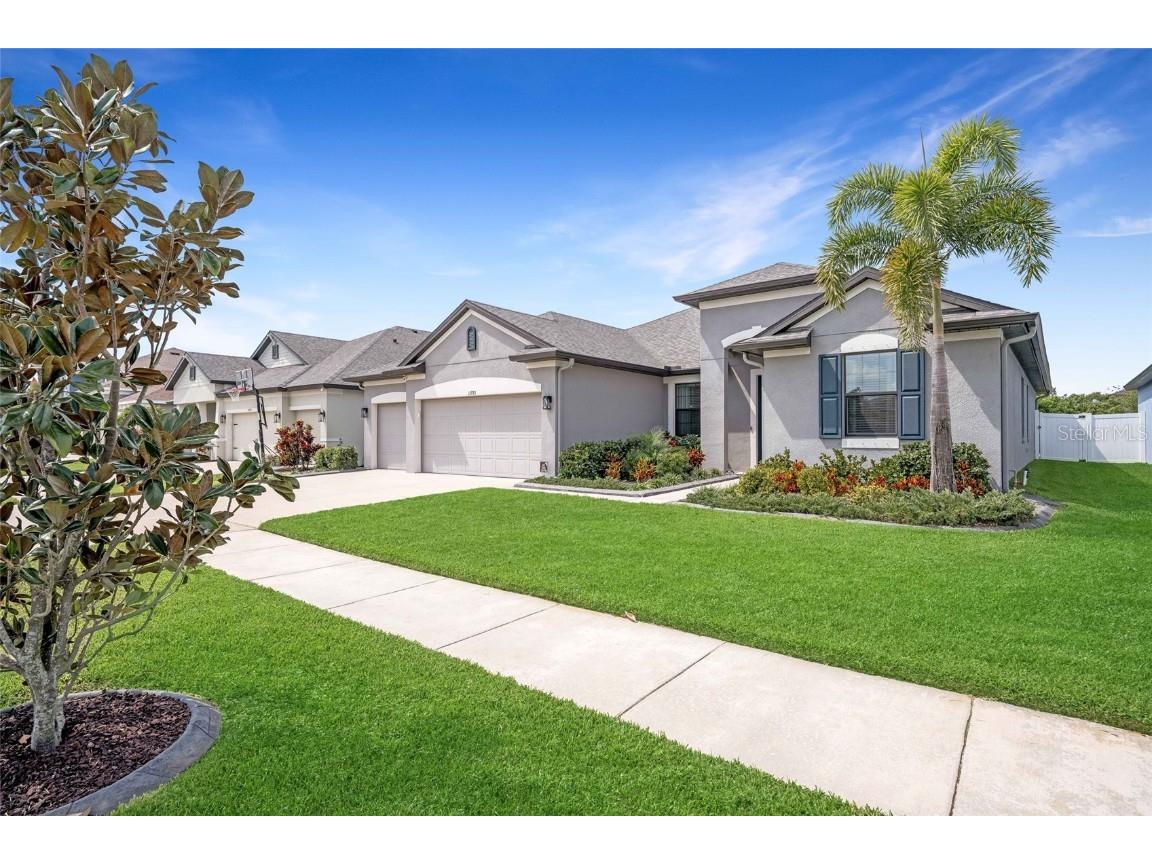 11933 Sunburst Marble Road Riverview FL 33579 T3442393 image1