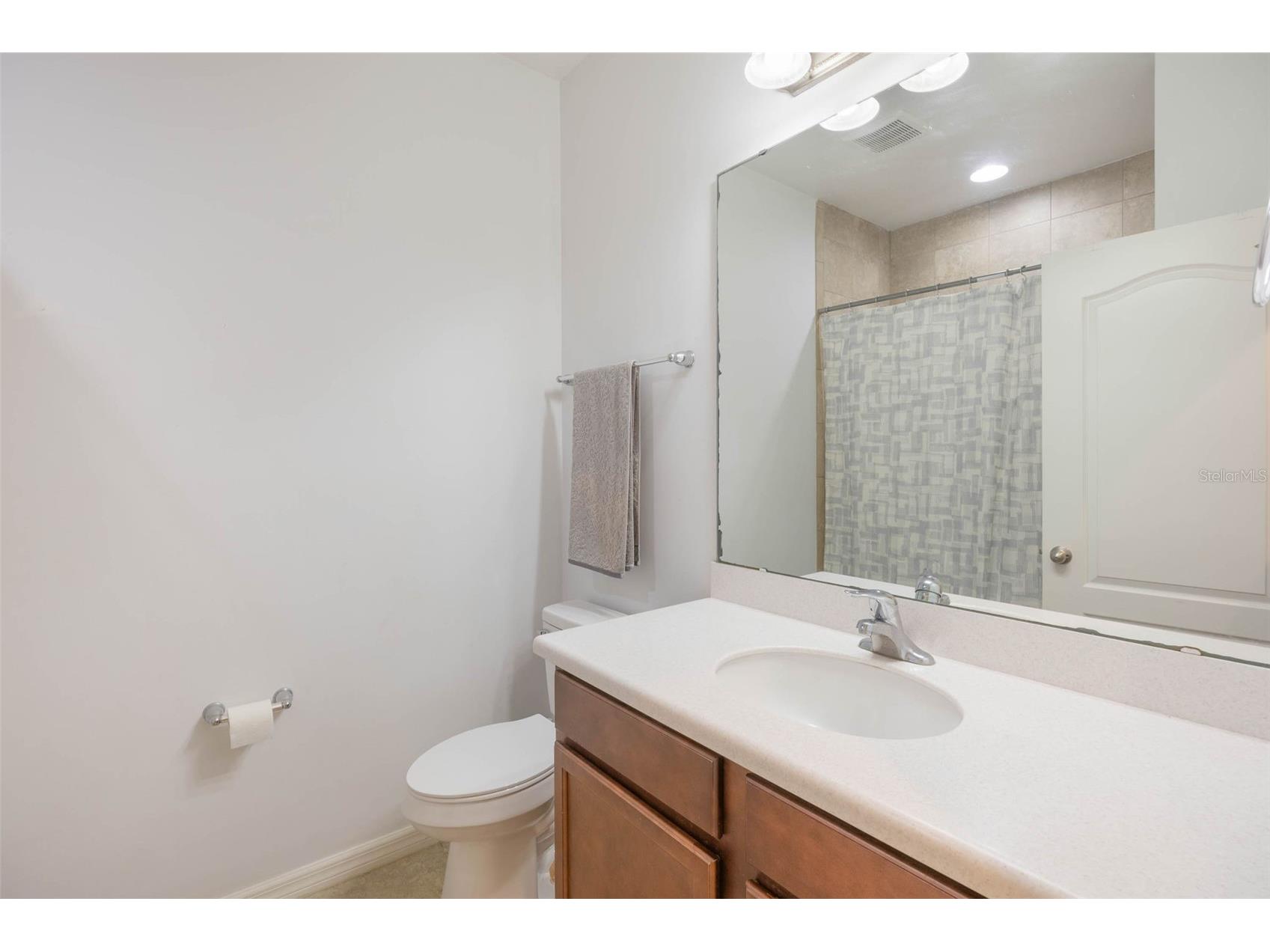11933 Water Run Alley Windermere FL 34786 O6411037 image14