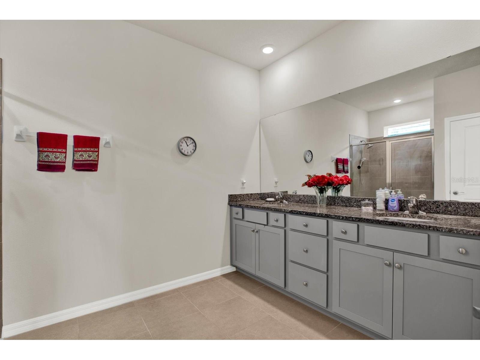 11934 Cross Vine Drive Riverview FL 33579 TB8508219 image23