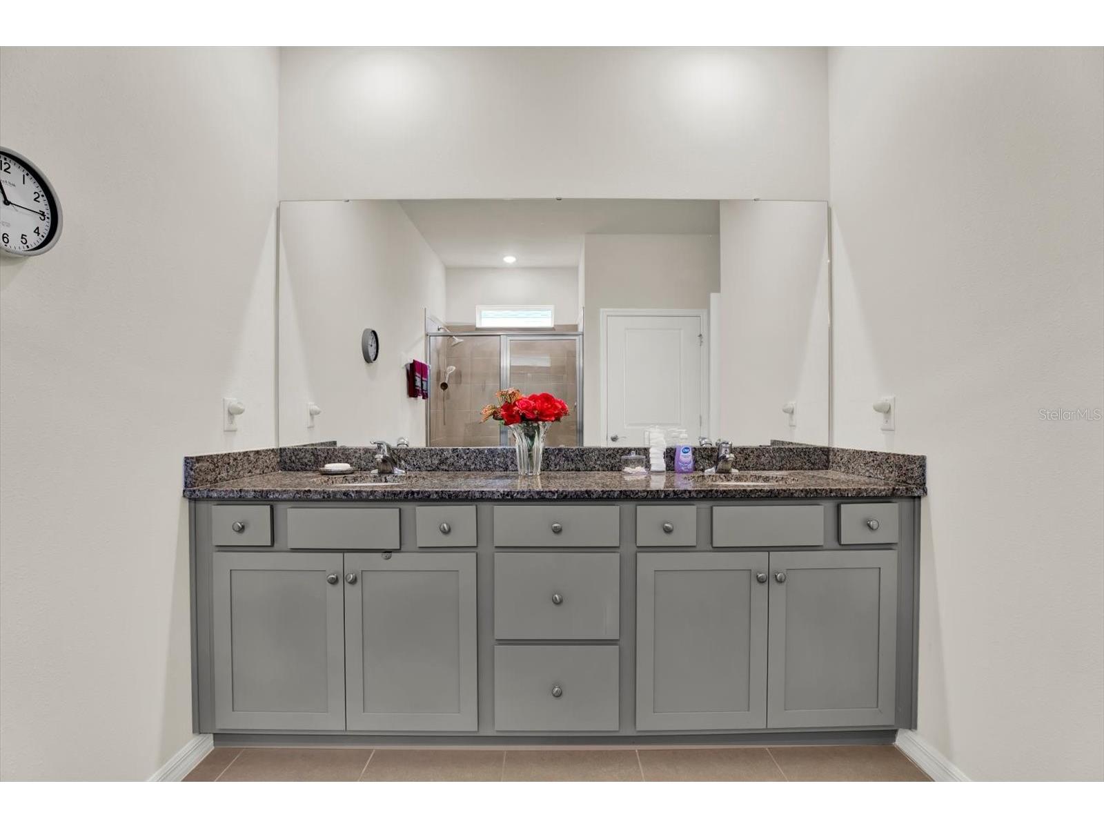 11934 Cross Vine Drive Riverview FL 33579 TB8508219 image25
