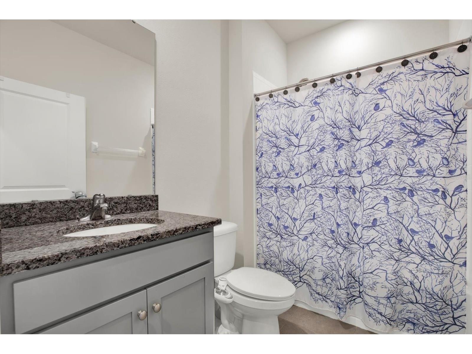 11934 Cross Vine Drive Riverview FL 33579 TB8508219 image28