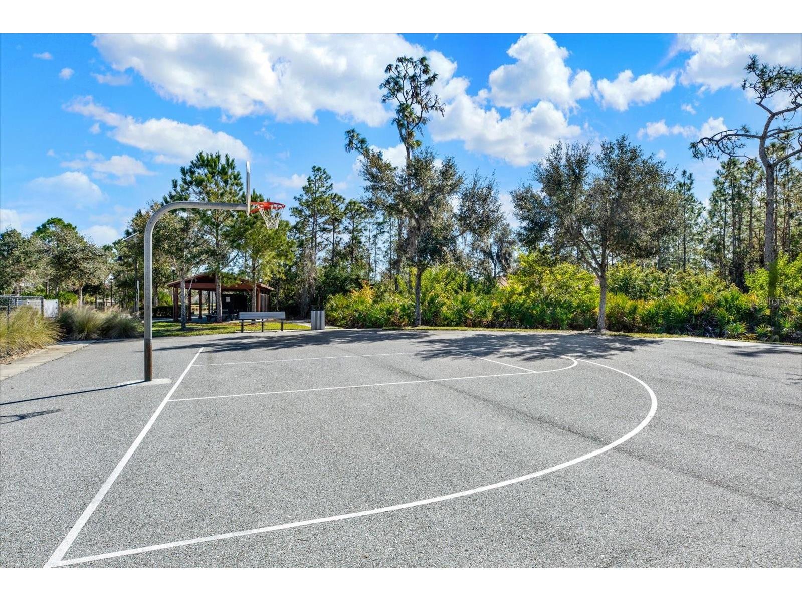11934 Cross Vine Drive Riverview FL 33579 TB8508219 image47