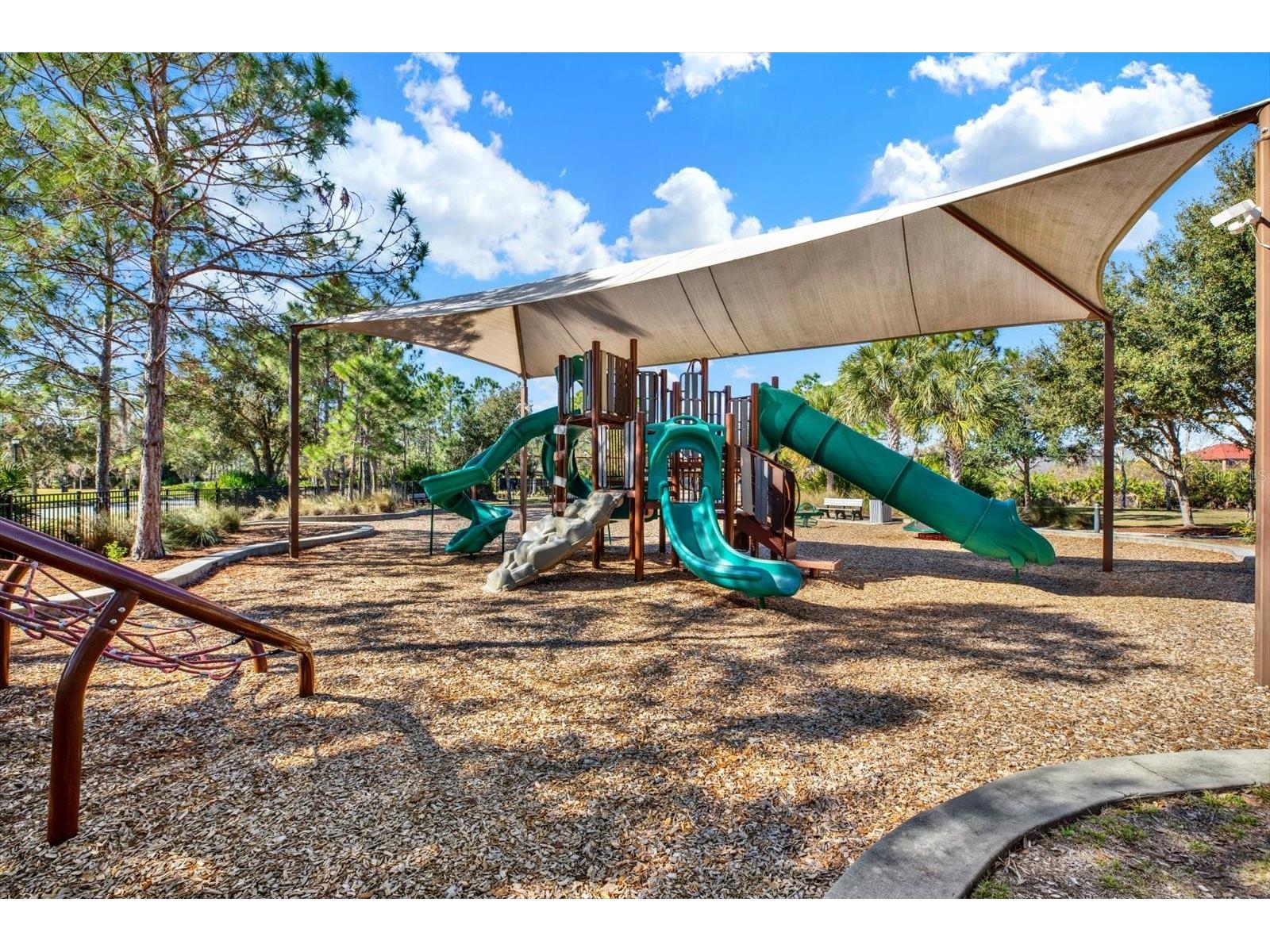11934 Cross Vine Drive Riverview FL 33579 TB8508219 image50