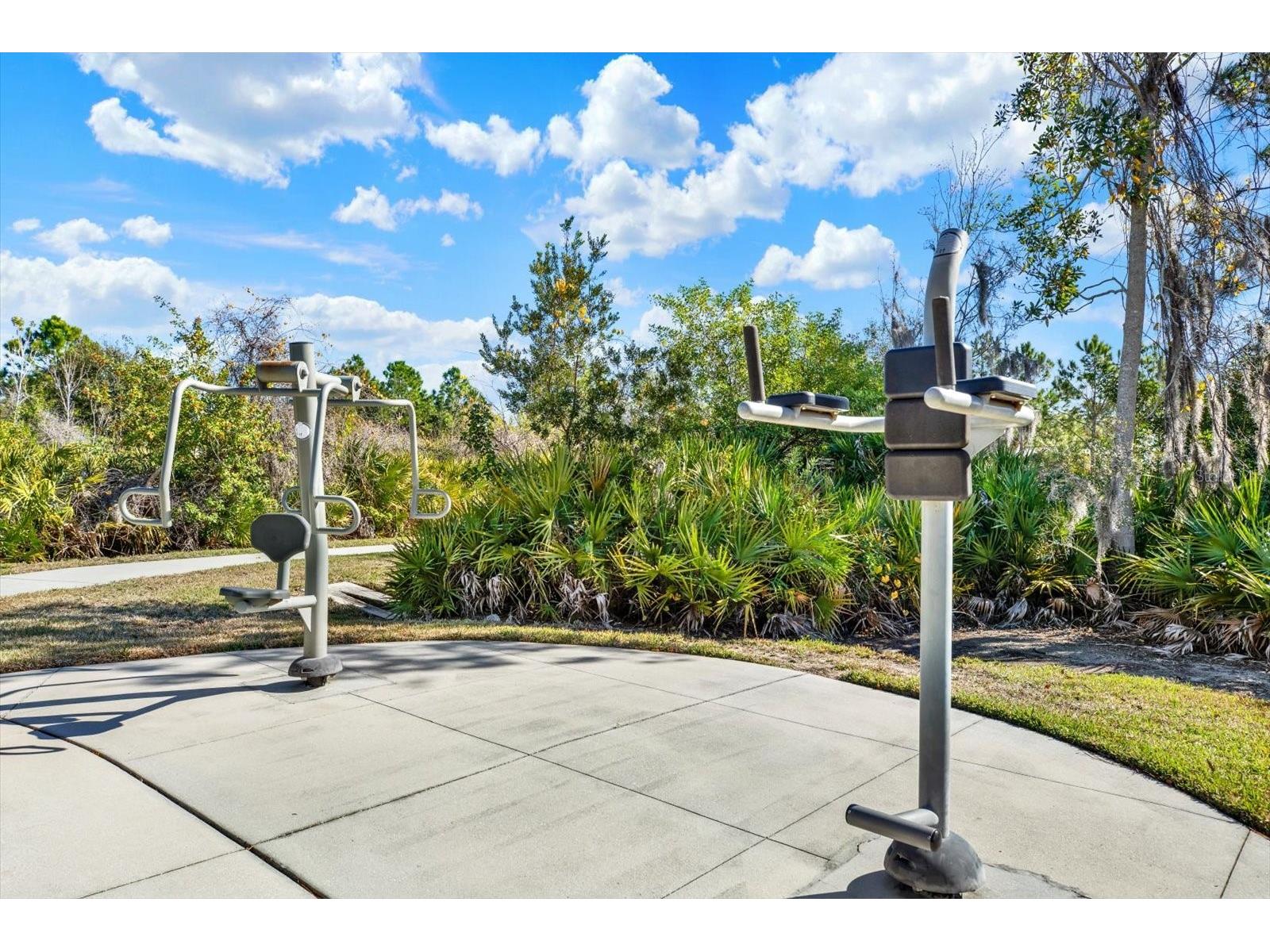 11934 Cross Vine Drive Riverview FL 33579 TB8508219 image51