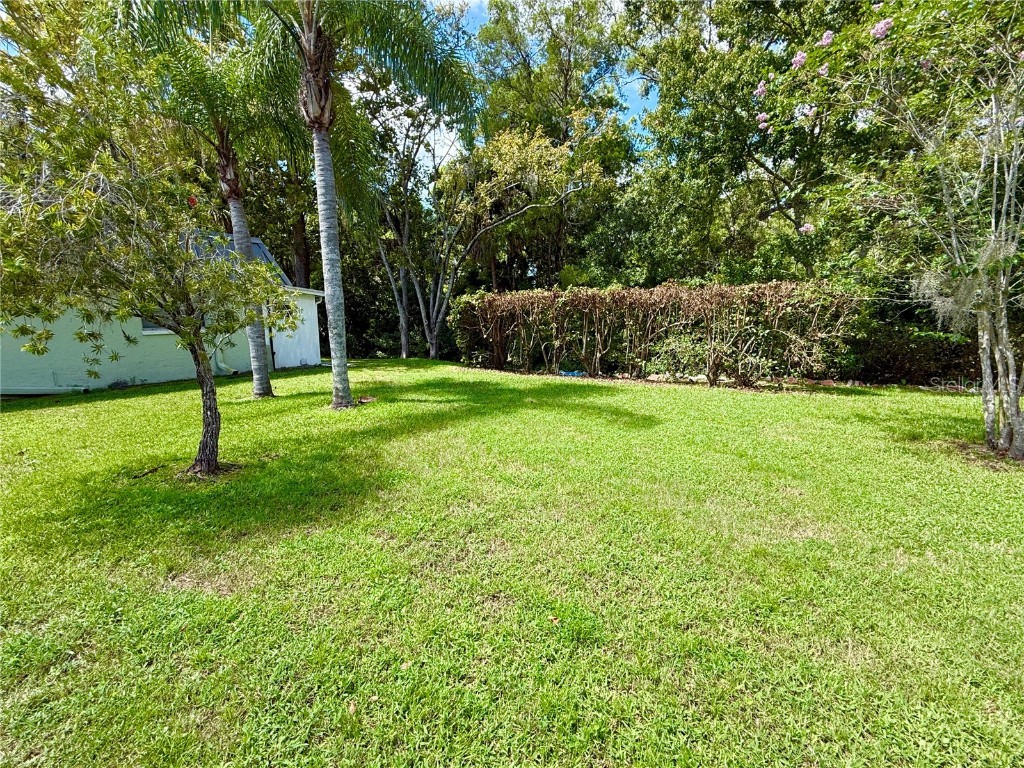11937 Bayonet Lane New Port Richey FL 34654 W7878681 image14