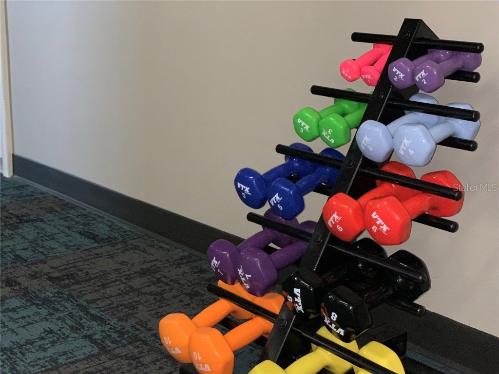 11937 Bayonet Lane New Port Richey FL 34654 W7878681 image23