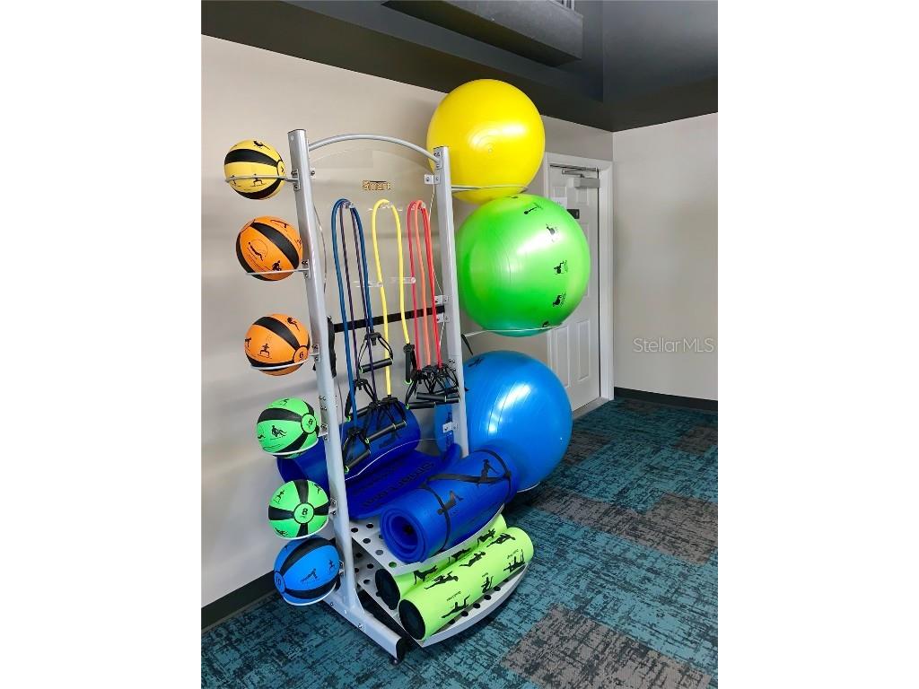 11937 Bayonet Lane New Port Richey FL 34654 W7878681 image24