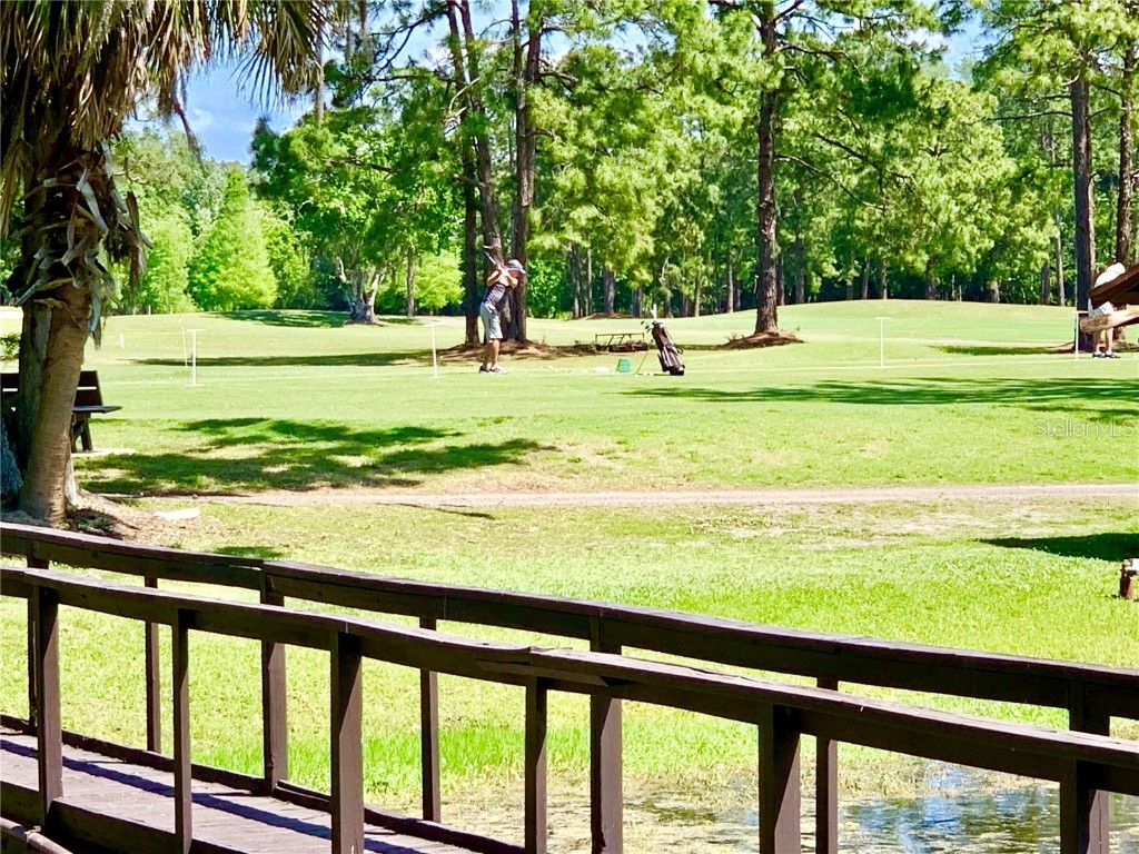 11937 Bayonet Lane New Port Richey FL 34654 W7878681 image35