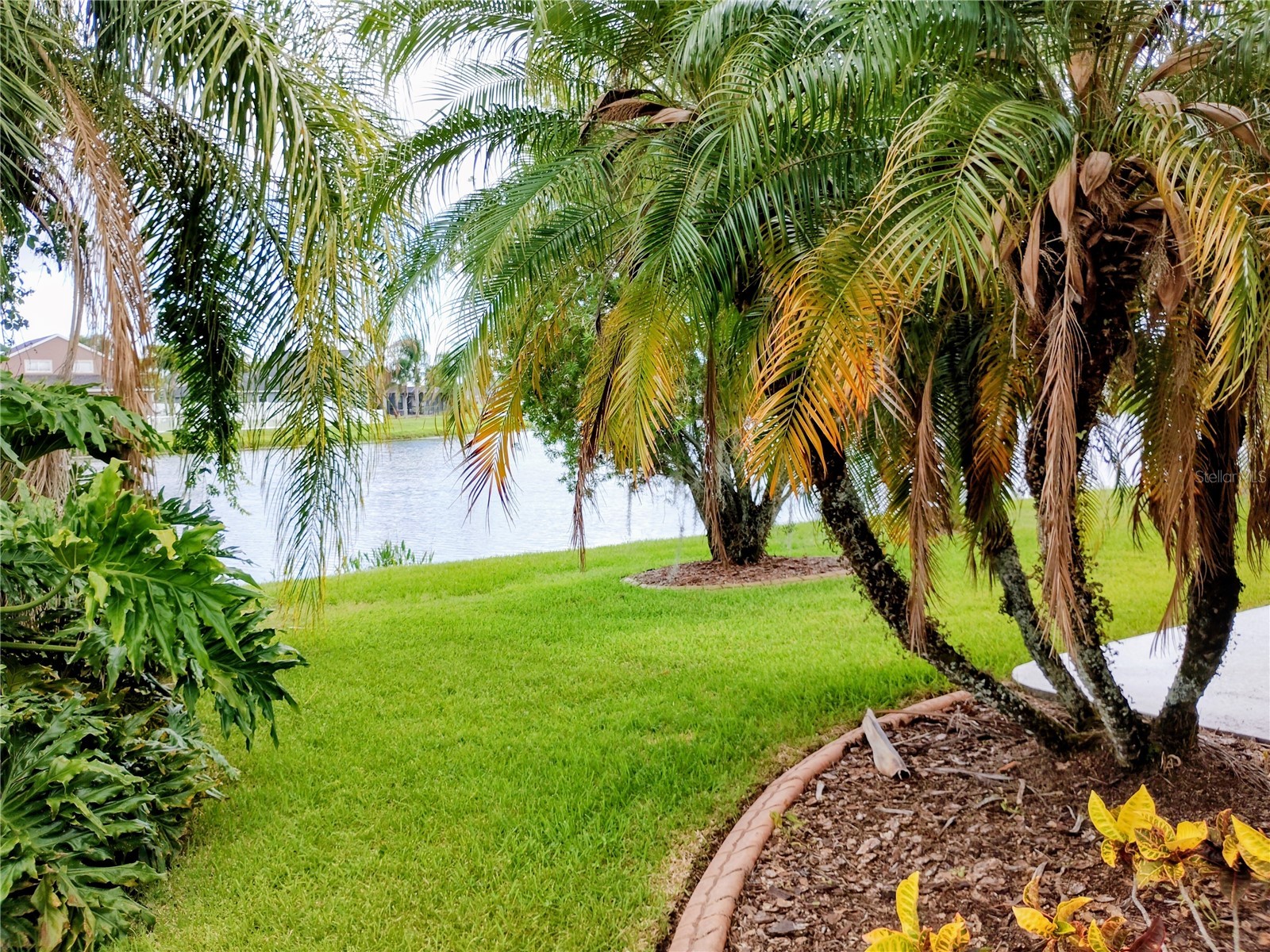 11939 56th Street E Parrish FL 34219 A4697551 image16
