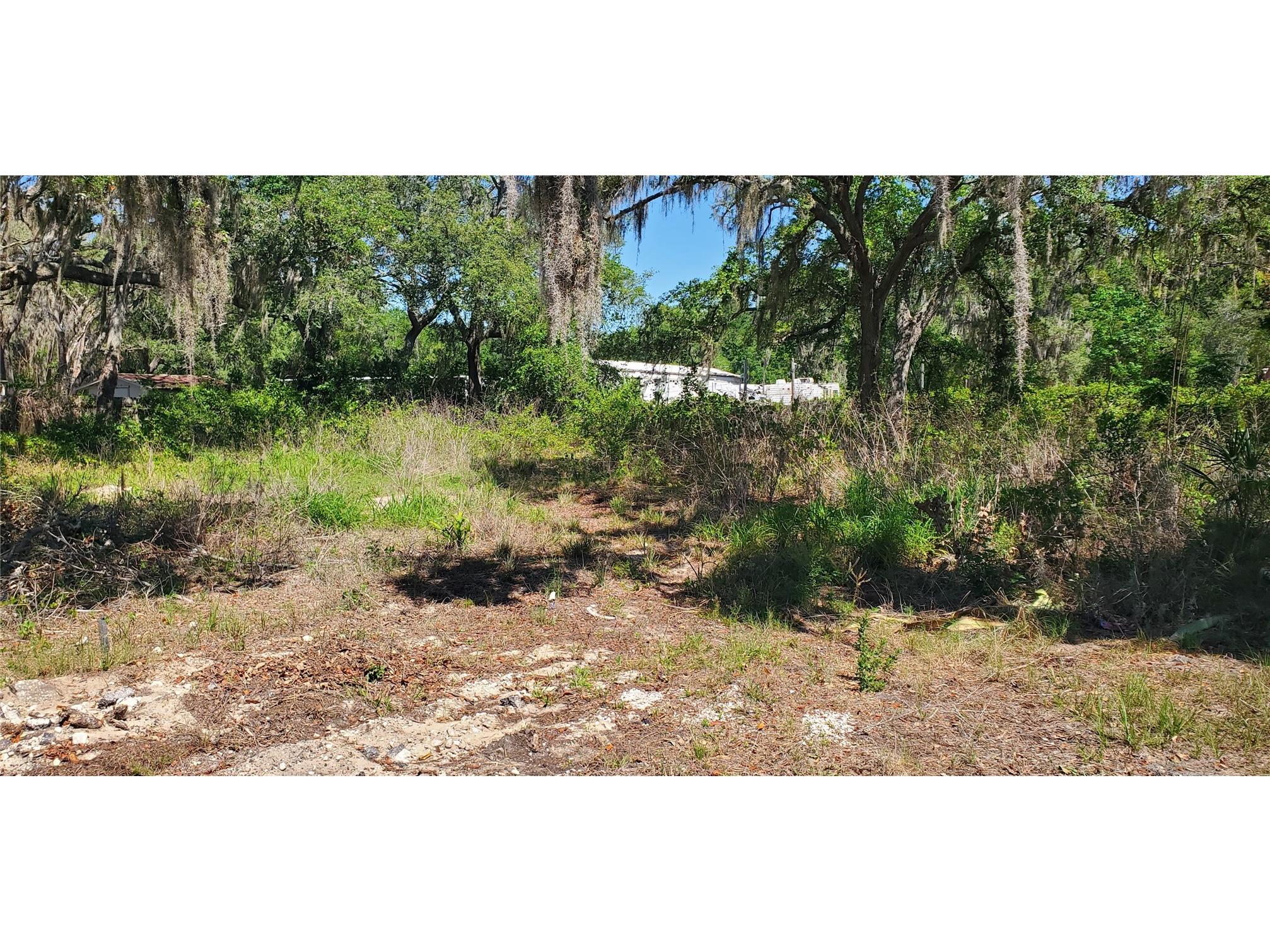 11939 Bemont Avenue New Port Richey FL 34654 W7885817 image1