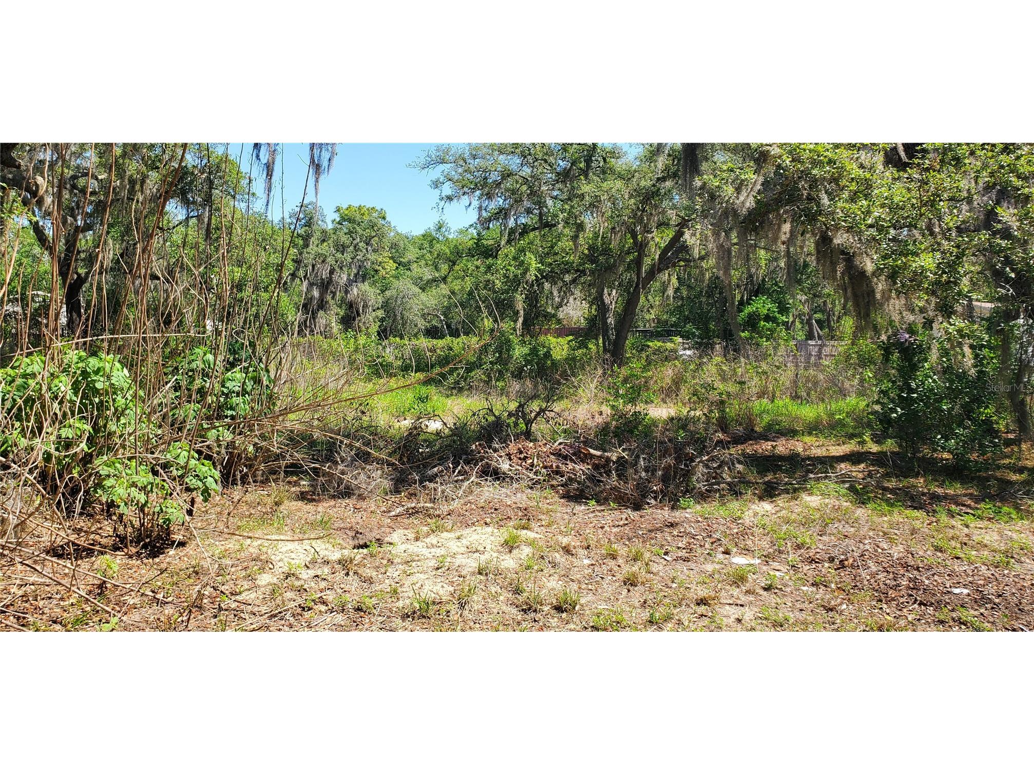 11939 Bemont Avenue New Port Richey FL 34654 W7885817 image2