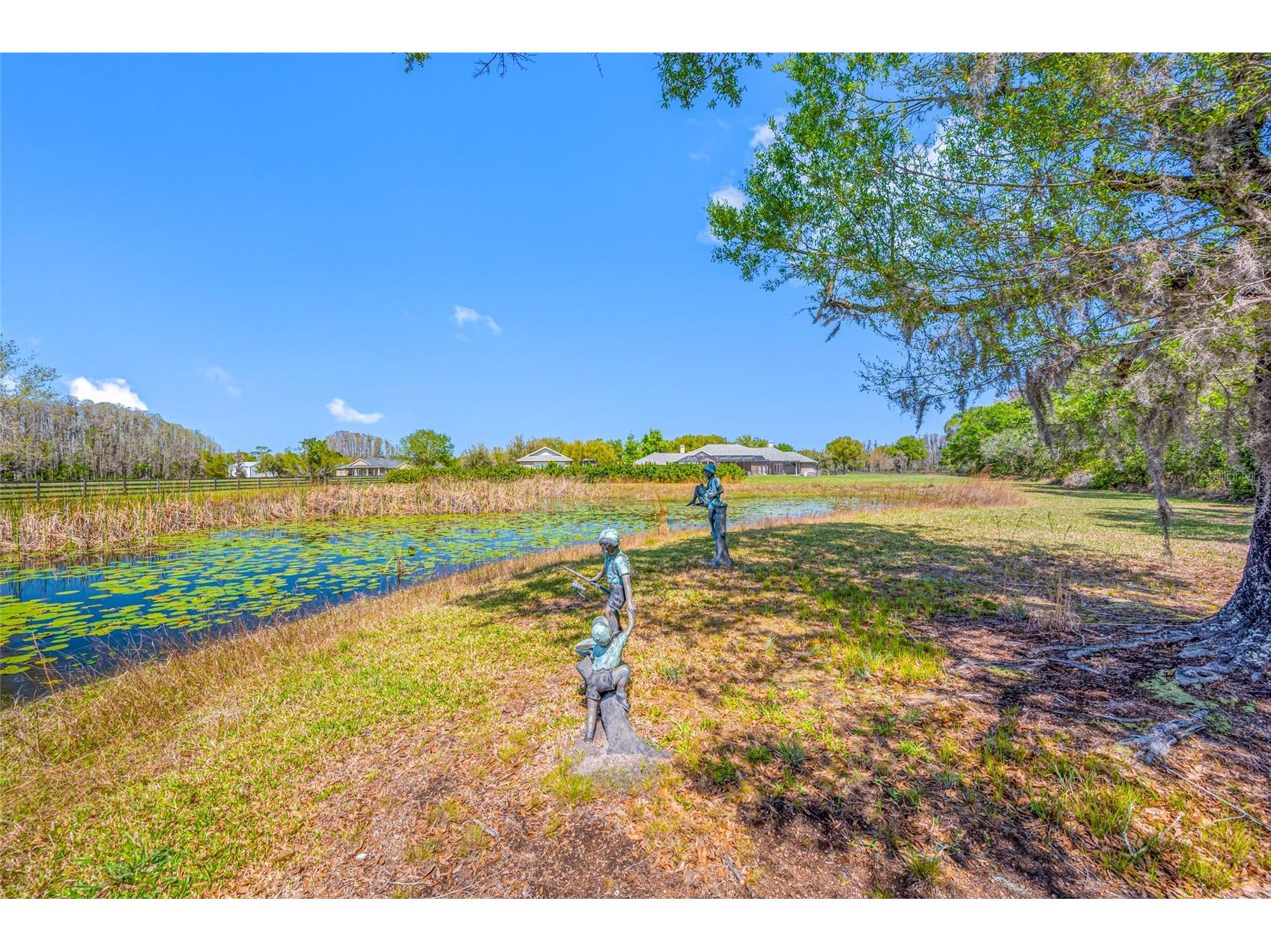 11939 Pasco Trails Boulevard Spring Hill FL 34610 W7884639 image58