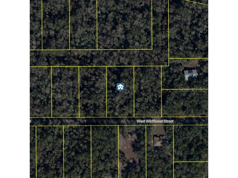 11939 W Wildflower Street Crystal River FL 34428 S5146566 image3