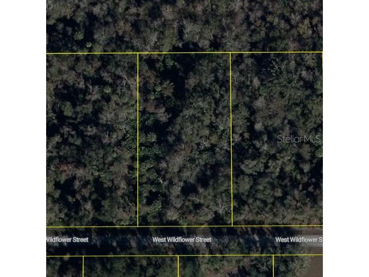 11939 W Wildflower Street Crystal River FL 34428 S5146566 image4